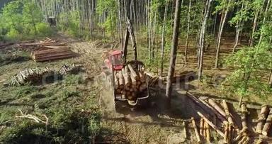 木材装载，将原木装入卡车，木材加工，<strong>砍伐</strong>森林，用爪装载木材